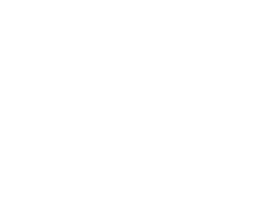 PNE Patine Stairs